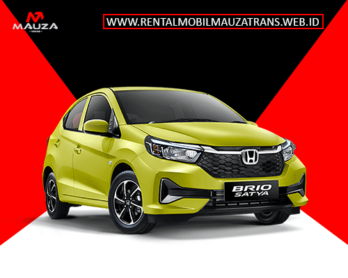 Untitled-1Brio-Metic