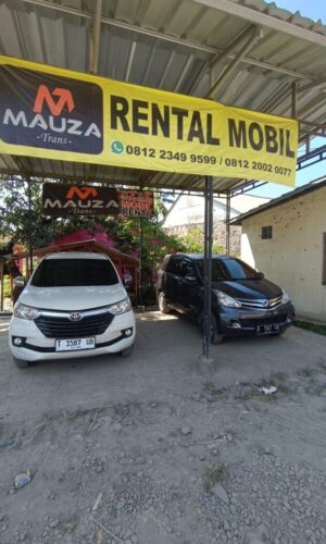 WhatsApp Image 2024-02-03 at 09.41.02 WhatsApp Image 2024-02-03 at 09.41.02